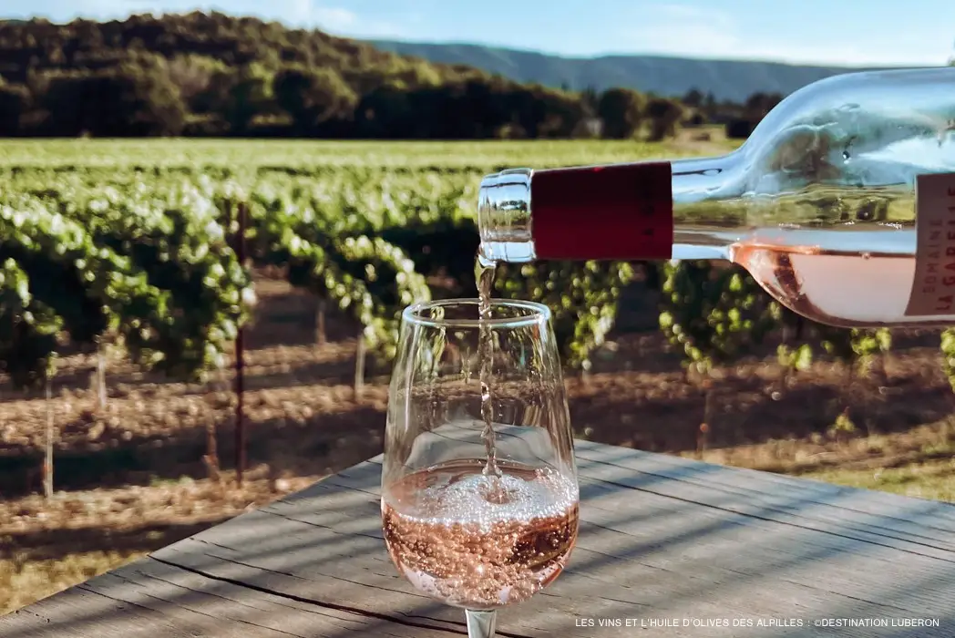 Les vins & l'huile d'olives des Alpilles